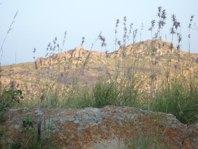 nandihills.jpg