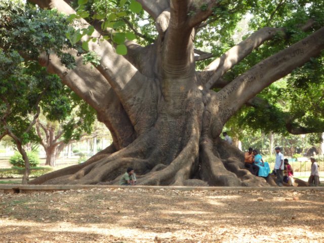 lalbagh.jpg