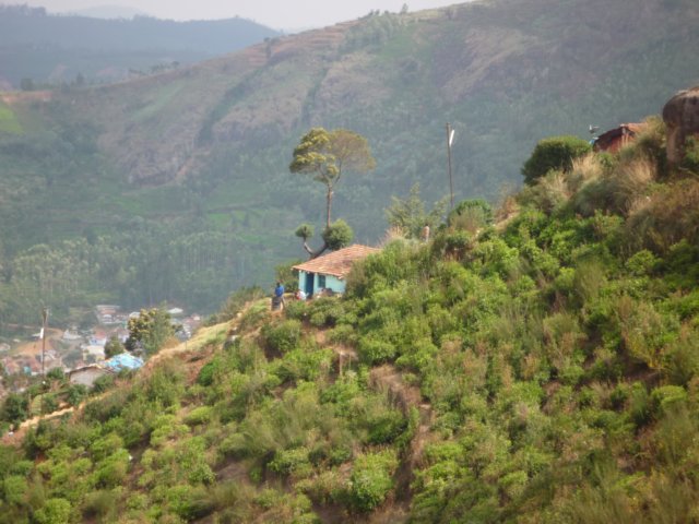 ooty2.jpg