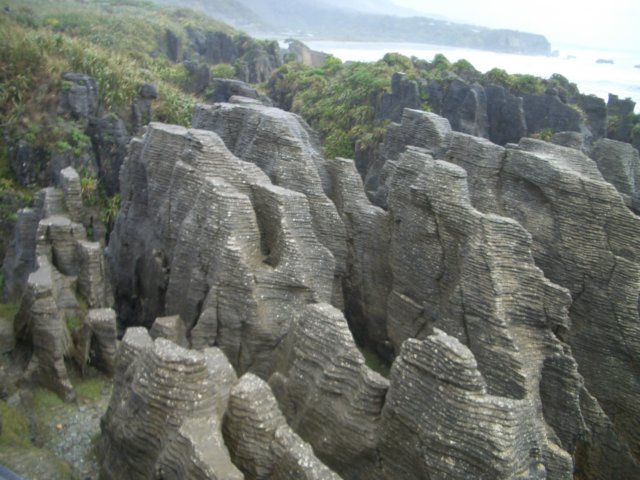 nz_0585.jpg