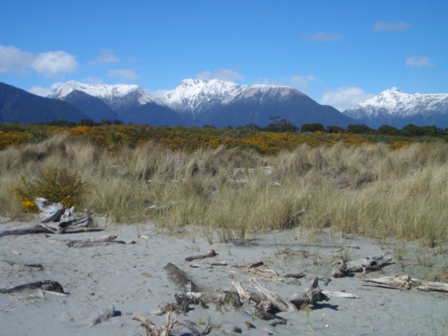 nz_0713.jpg